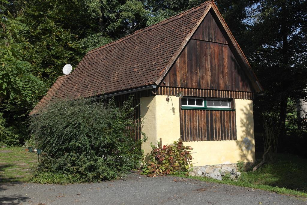 Вилла Presshaus Alte Muehle Штайнц Экстерьер фото